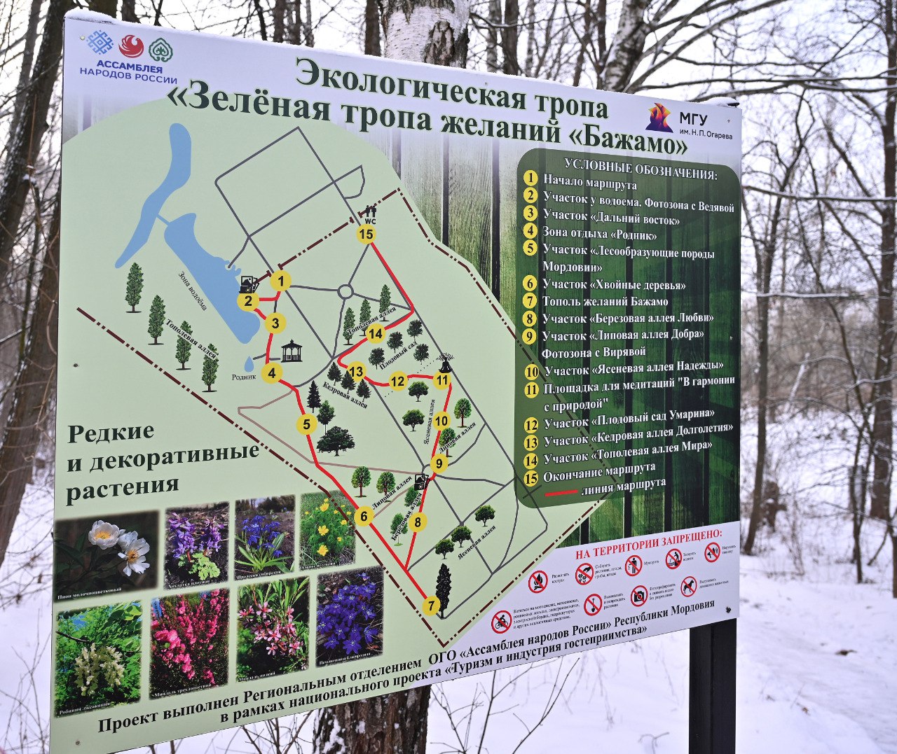 В ботаническом саду Саранска открылась Зеленая тропа желаний «Бажамо»